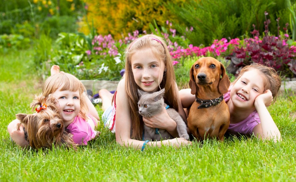 Pets and baby | Laval Families Magazine | Laval's Family Life Magazine