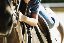Therapeutic Horseback Riding: A Viable Option