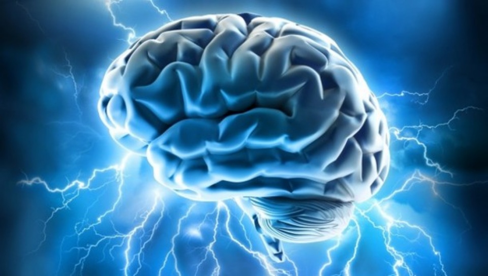 Brain Training Vs. Tutoring Brain Training Vs. Tutoring