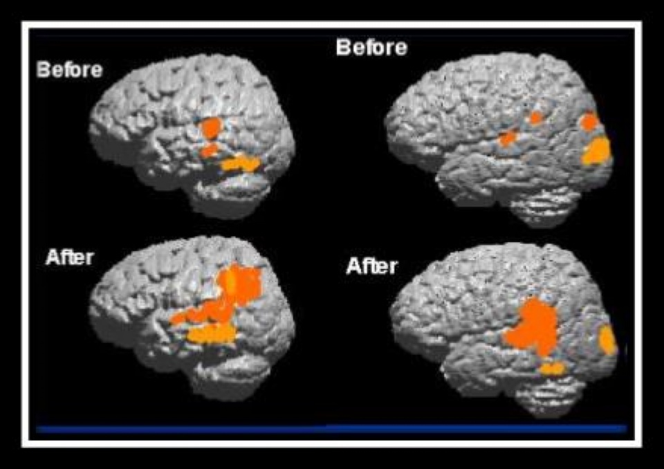 Brain Training! Brain Training!