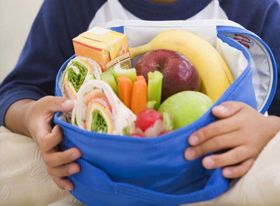 Tips and Ideas for Healthier Summer Camp Lunches | Laval Families Magazine | Laval's Family Life Magazine Tips and Ideas for Healthier Summer Camp Lunches | Laval Families Magazine | Laval's Family Life Magazine