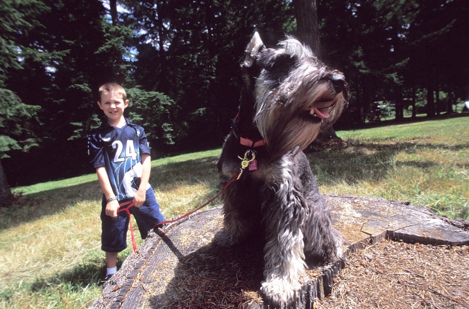 Animal Welfare is Everyone”s Responsibility | Laval Families Magazine | Laval's Family Life Magazine Animal Welfare is Everyone”s Responsibility | Laval Families Magazine | Laval's Family Life Magazine