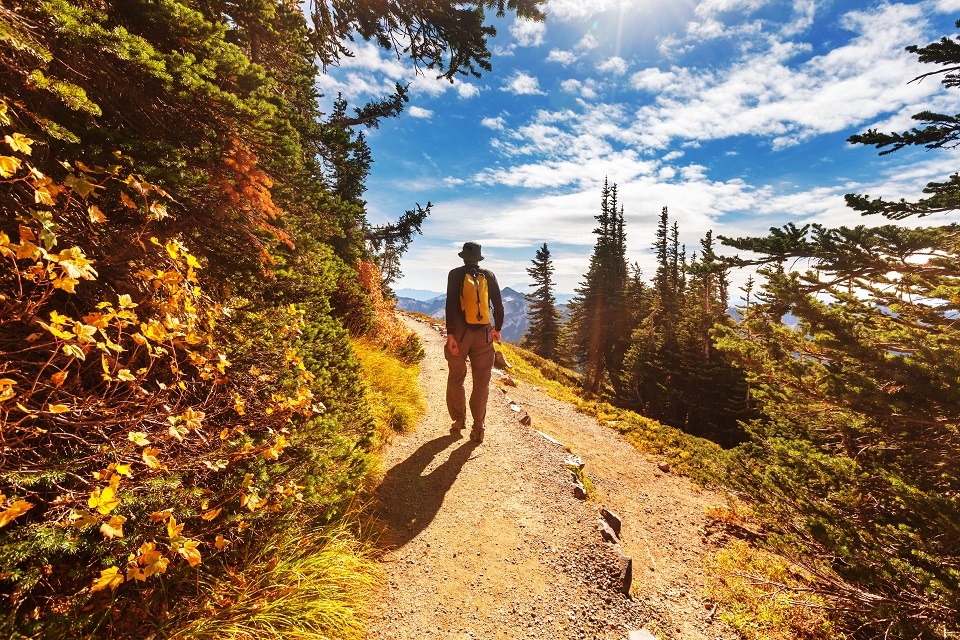 Making Summer Plans that Create Peace and Purpose | Laval Families Magazine | Laval's Family Life Magazine