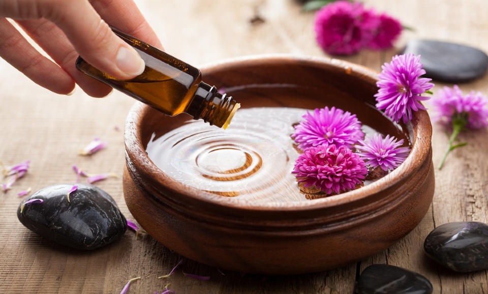 The Benefits of Tea Tree Oil | Laval Families Magazine | Laval's Family Life Magazine The Benefits of Tea Tree Oil | Laval Families Magazine | Laval's Family Life Magazine