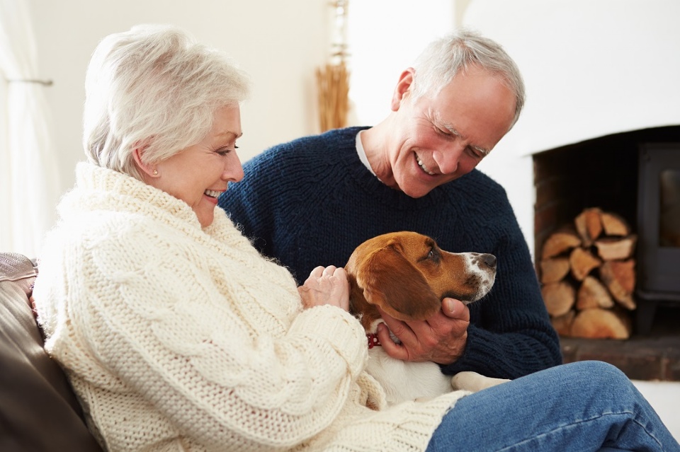 The Benefits of Caring for a Pet | Laval Families Magazine | Laval's Family Life Magazine The Benefits of Caring for a Pet | Laval Families Magazine | Laval's Family Life Magazine