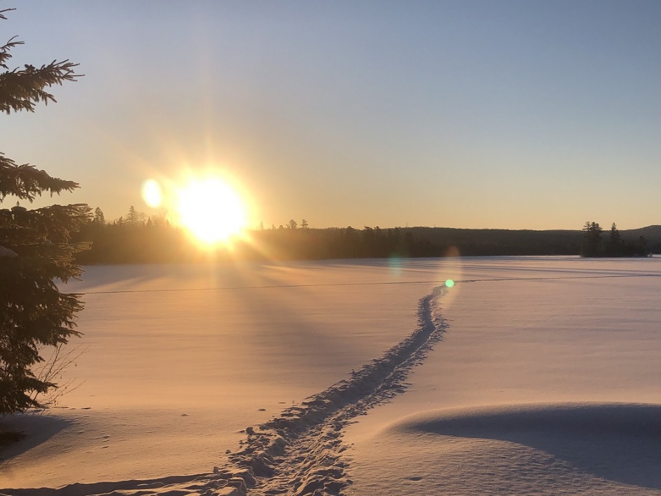 2020 Has Only Just Begun | Laval Families Magazine | Laval's Family Life Magazine 2020 Has Only Just Begun | Laval Families Magazine | Laval's Family Life Magazine