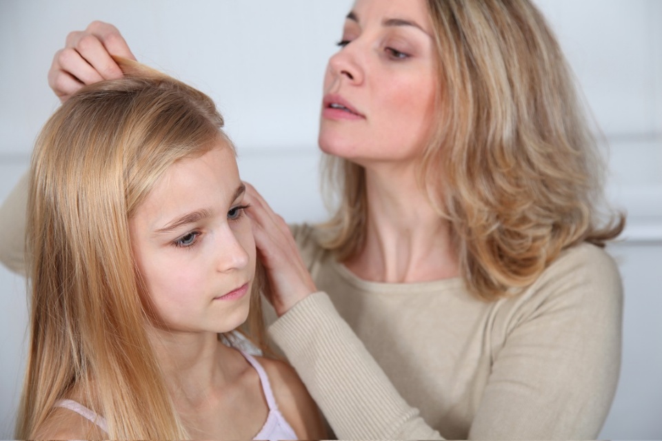 How to Deal with Head Lice | Laval Families Magazine | Laval's Family Life Magazine How to Deal with Head Lice | Laval Families Magazine | Laval's Family Life Magazine