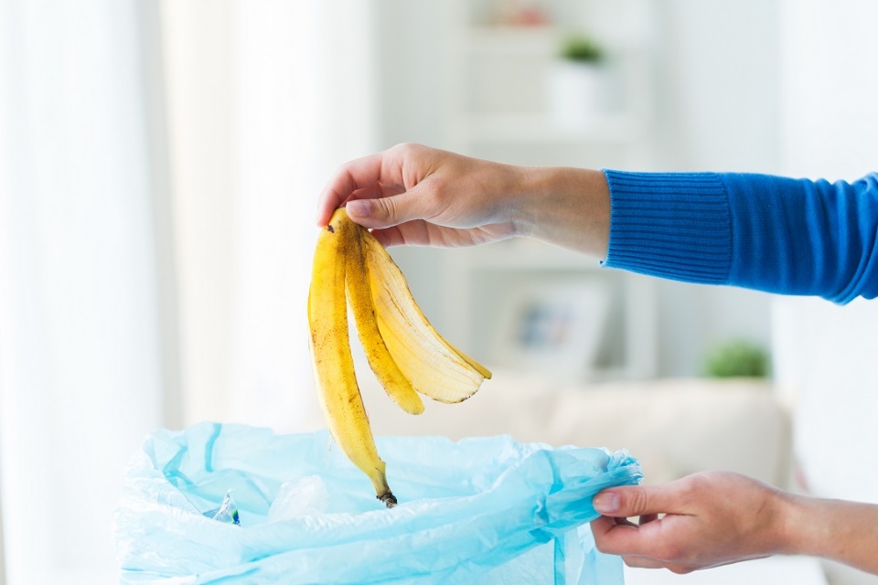 Food Insecurity | Laval Families Magazine | Laval's Family Life Magazine Food Insecurity | Laval Families Magazine | Laval's Family Life Magazine
