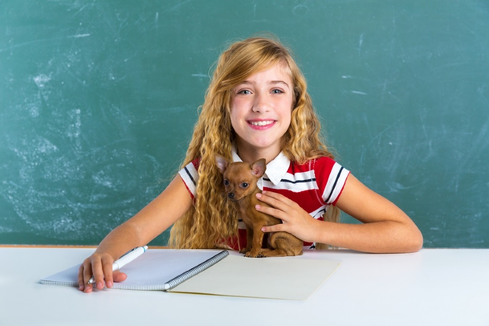 How a Class Pet Could Benefit Your Child at School and in Life | Laval Families Magazine | Laval's Family Life Magazine How a Class Pet Could Benefit Your Child at School and in Life | Laval Families Magazine | Laval's Family Life Magazine