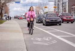 14 Ideas of Activities from your City Councillors 