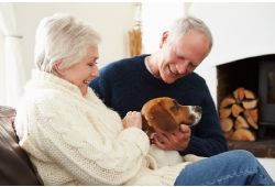 The Benefits of Caring for a Pet 