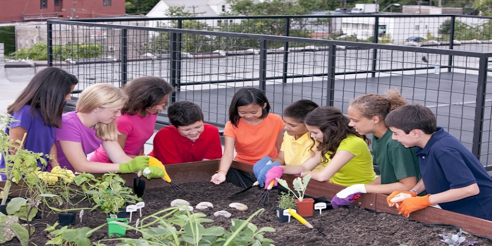  Combining Nature with Nurture at Genesis Elementary | Laval Families Magazine | Laval's Family Life Magazine