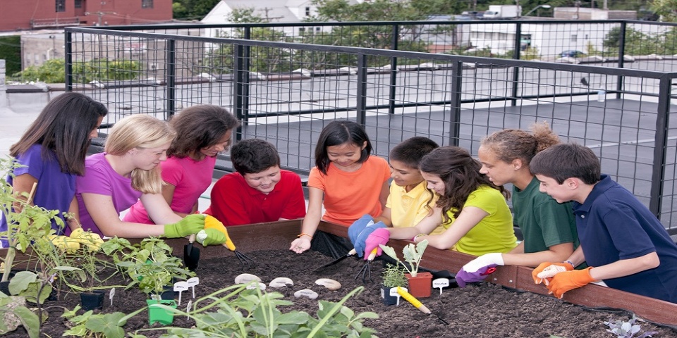  Combining Nature with Nurture at Genesis Elementary | Laval Families Magazine | Laval's Family Life Magazine