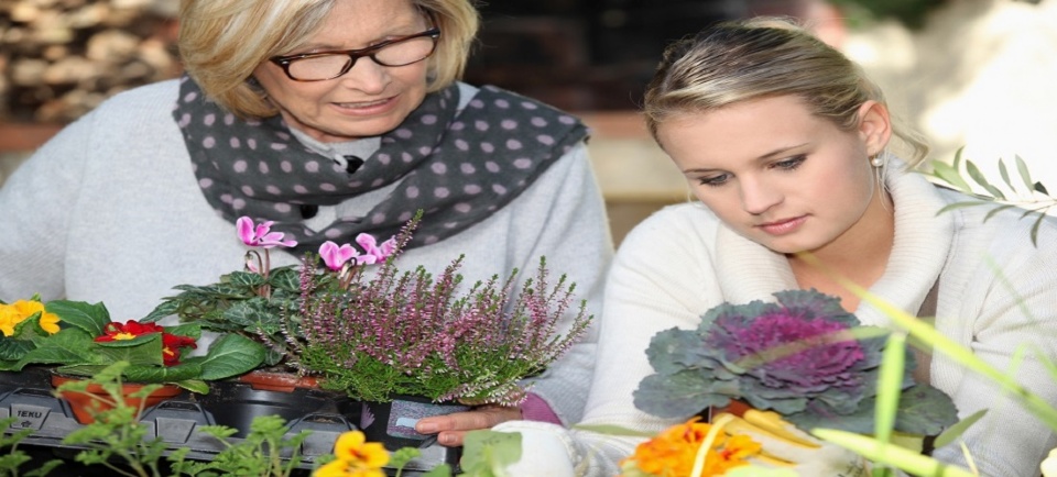 It’s all in the Attitude! Intergenerational Love and Respect | Laval Families Magazine | Laval's Family Life Magazine It’s all in the Attitude! Intergenerational Love and Respect | Laval Families Magazine | Laval's Family Life Magazine