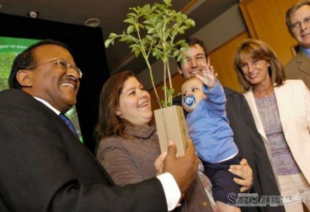 A birth, A tree Program (Une Naissance, un Arbre) | Laval Families Magazine | Laval's Family Life Magazine A birth, A tree Program (Une Naissance, un Arbre) | Laval Families Magazine | Laval's Family Life Magazine