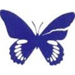 Camp Papillon | Laval Families Magazine | Laval's Family Life Magazine Camp Papillon | Laval Families Magazine | Laval's Family Life Magazine